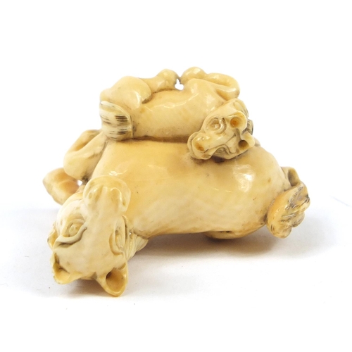 519 - Japanese carved ivory Netsuke of two horses, 4cm high