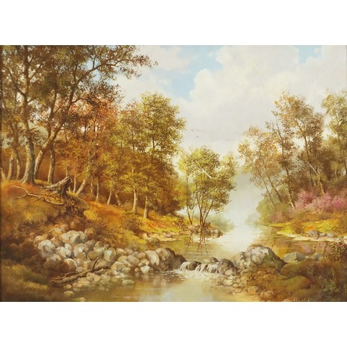 524 - River through woodland, Continental school oil on board, bearing an indistinct signature, possibly H... 