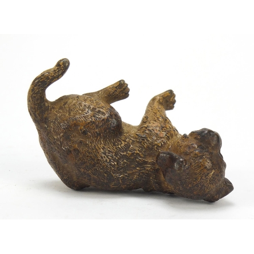 18 - Austrian cold painted bronze puppy possibly by Franz Xaver Bergmann, impressed Depose and lozenge ma... 