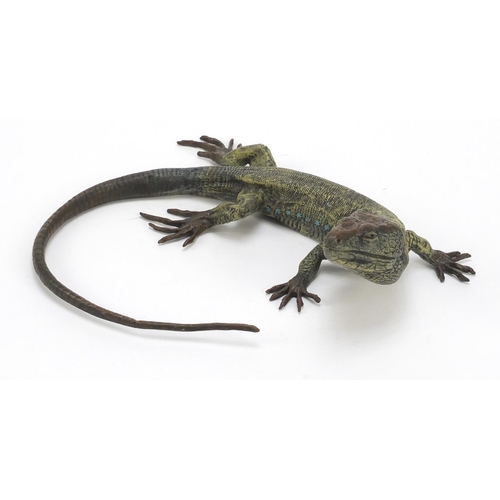 20 - Large Austrian cold painted bronze lizard in the style of Franz Xaver Bergmann, 25cm wide