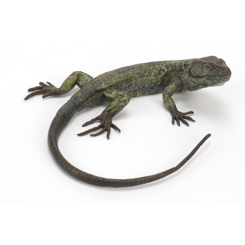 20 - Large Austrian cold painted bronze lizard in the style of Franz Xaver Bergmann, 25cm wide