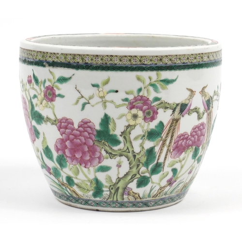 1153 - Good Chinese porcelain jardinière hand painted in the famille verte palette with birds and butterfli... 
