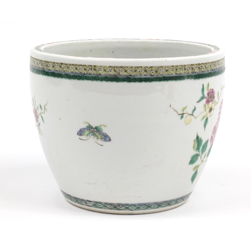 1153 - Good Chinese porcelain jardinière hand painted in the famille verte palette with birds and butterfli... 