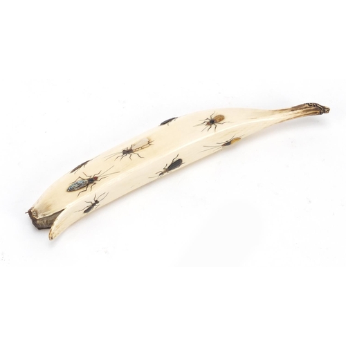 472 - Japanese Shibayama ivory banana inlaid with insects, carved with character marks, 16.5cm in length