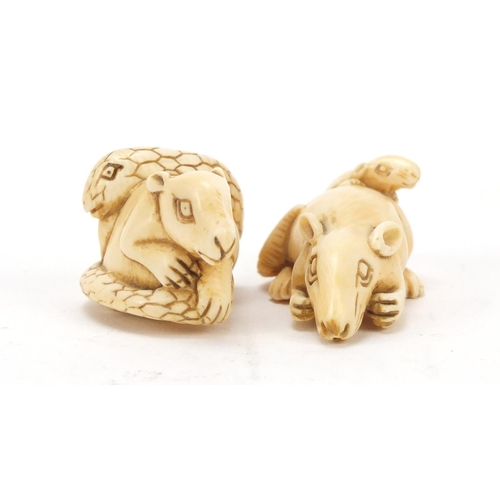 518 - Two Japanese carved ivory netsukes of rats, character marks to the bases, the largest 5.5cm in lengt... 