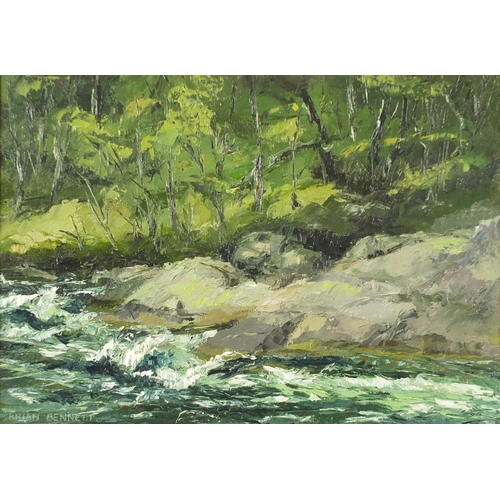 2206 - Brian Bennett - Rushing stream by woodlands, signed oil on board, mounted and framed, 34.5cm x 24cm ... 