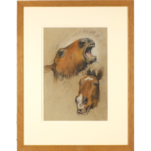 45 - Arthur Wardle - Equestrian study, pastel, chalk and charcoal, mounted, framed and glazed, 33cm x 22.... 