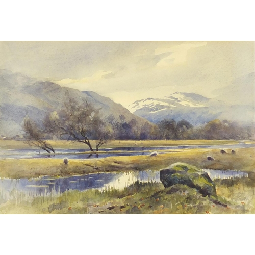 82 - Scottish Borders, river landscape, watercolour, mounted, framed and glazed, 32.5cm x 22.5cm excludin... 