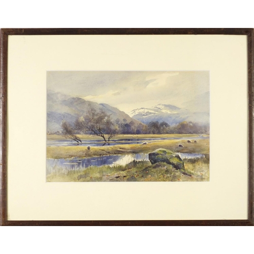 82 - Scottish Borders, river landscape, watercolour, mounted, framed and glazed, 32.5cm x 22.5cm excludin... 