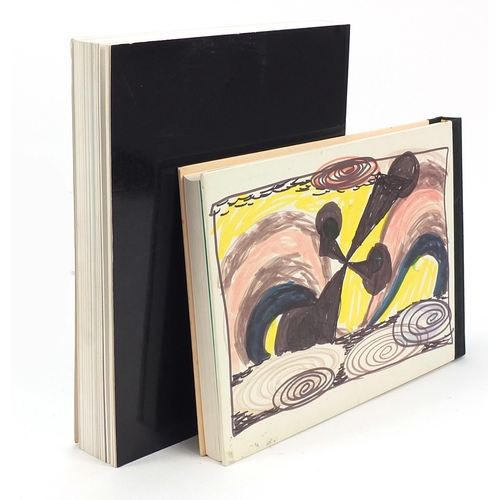 2200 - Two art related books comprising Drawings by Phillip Laen and The Sketchbooks of Picasso