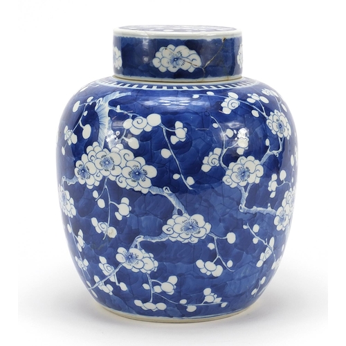22 - Large Chinese blue and white porcelain ginger jar with cover hand painted with prunus flowers, Kangx... 