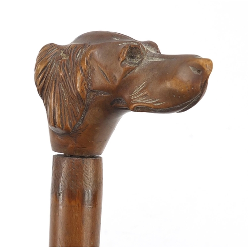 392 - 19th century treen walking stick with carved dog's head design handle, 80cm in length