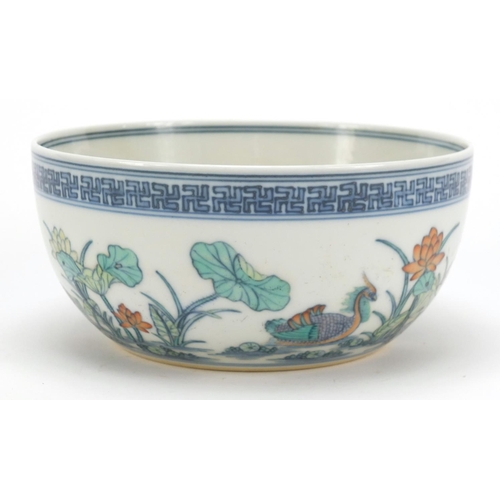 960 - Chinese doucai porcelain bowl hand painted with ducklings in water amongst lily pads and flowers, si... 