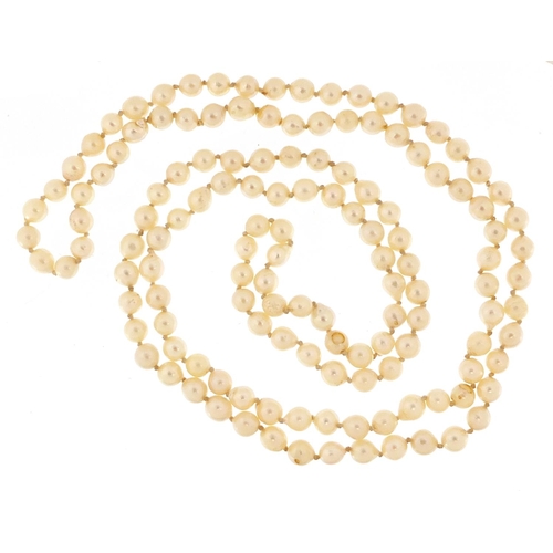 1037 - Single string cultured pearl necklace, 90cm in length, 36.2g