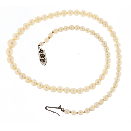 463 - Graduated cultured pearl necklace with unmarked white metal diamond clasp, 40cm in length, 19.1g