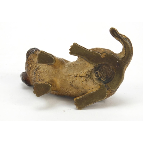 22 - Austrian cold painted bronze puppy possibly by Franz Xaver Bergmann, impressed Depose and lozenge ma... 