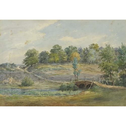 331 - Bridge and path in a Northern landscape, 19th century English school watercolour bearing a monogram ... 