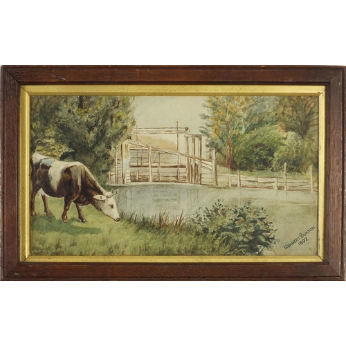 536 - Herbert Buxton 1897 - Cow beside water, watercolour, mounted, framed and glazed, 34cm x 19cm excludi... 