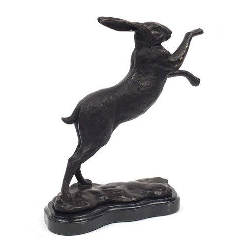 151 - Patinated bronze boxing hare raised on a shaped black marble base, 29cm high