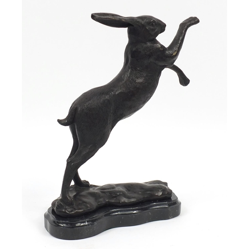 152 - Patinated bronze boxing hare raised on a shaped black marble base, 29cm high