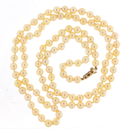 1206 - Cultured pearl necklace with 9ct gold clasp, 92cm in length, 60.0g