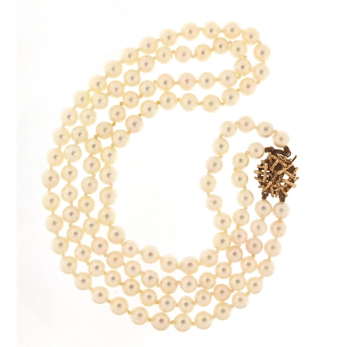 642 - Cultured pearl two row necklace with 9ct gold clasp, housed in a Mikimoto velvet and silk lined box,... 