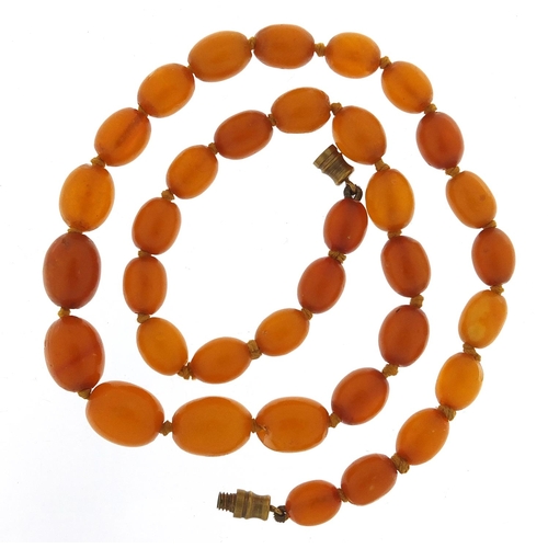 552 - Butterscotch amber coloured graduated bead necklace, 40cm in length, 14.5g