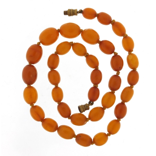 552 - Butterscotch amber coloured graduated bead necklace, 40cm in length, 14.5g