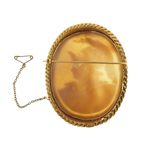 20 - Large well detailed gladiator cameo brooch with 9ct gold mount, 7cm high, 27.4g