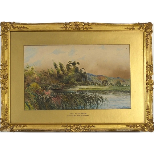 206 - S E Hall - Wind in the reeds, River Wharfe near Bolton Abbey, watercolour, mounted, framed and glaze... 