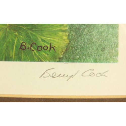 260 - Beryl Cook - Fairy Dell, pencil signed print in colour with embossed watermark, mounted, framed and ... 