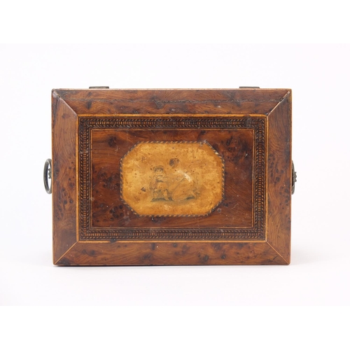 25 - 19th century inlaid bird's eye maple work box with fitted lift out interior and gilt ring turned han... 
