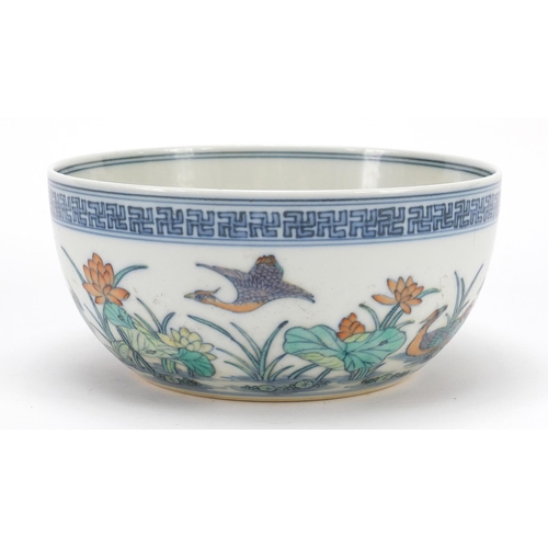 235 - Chinese doucai porcelain bowl hand painted with ducklings in water amongst lily pads and flowers, si... 