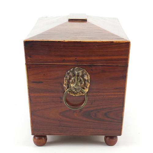 24 - Victorian rosewood sarcophagus shaped tea caddy with lion mask handles, lidded compartments and cut ... 
