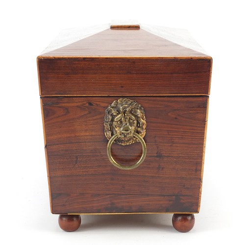 24 - Victorian rosewood sarcophagus shaped tea caddy with lion mask handles, lidded compartments and cut ... 