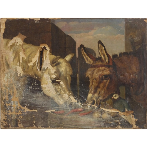 1020 - Two donkeys feeding with bird, 19th century oil on canvas, unframed, 41cm x 31cm