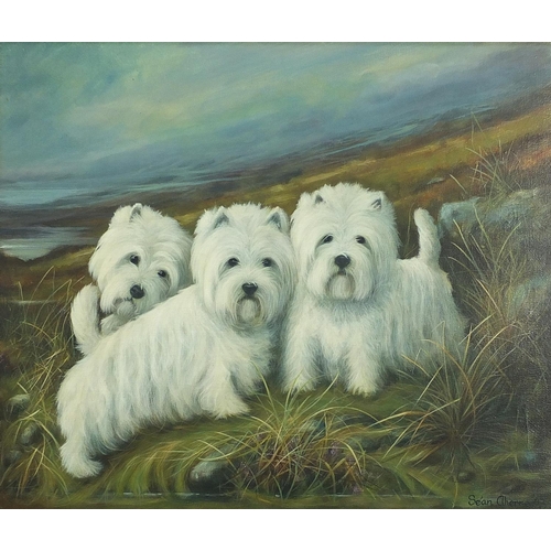 872 - Sean Aherne 2003 - Three Westies, oil on canvas, framed, 59cm x 49.5cm excluding the frame