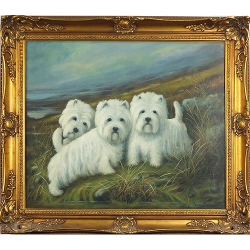 872 - Sean Aherne 2003 - Three Westies, oil on canvas, framed, 59cm x 49.5cm excluding the frame