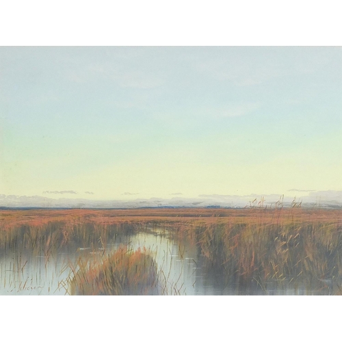 763 - Marshland, gouache, mounted, framed and glazed, 33.5cm x 24cm excluding the mount and frame