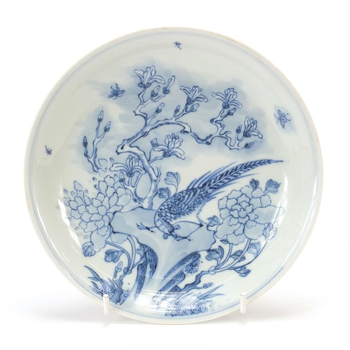 713 - Chinese blue and white porcelain shallow dish hand painted with a bird amongst flowers with insects,... 