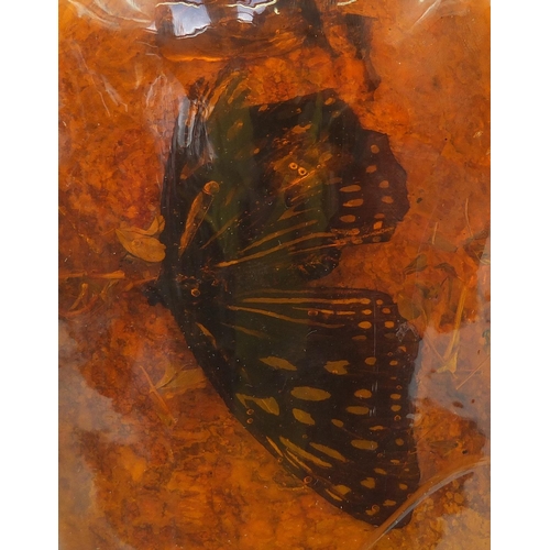 599 - Large amber style section enclosing two butterflies, 21.5cm wide