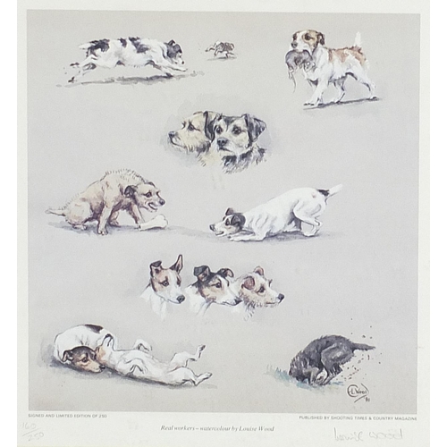 374 - Louise Wood - Dogs, pencil signed print in colour, limited edition 160/250, framed and glazed, 46cm ... 