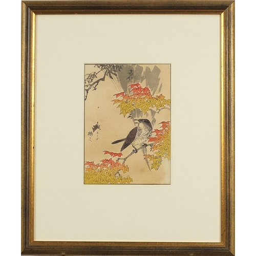 705 - Kacho-Ga - Birds amongst flowers, 19th century Japanese woodblock print, mounted, framed and glazed,... 