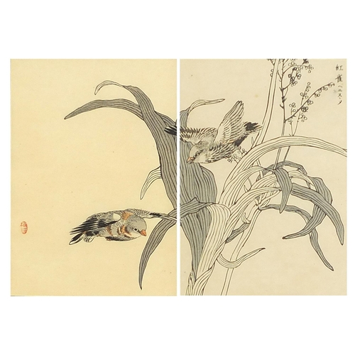 704A - Kono Bairei - Birds amongst flowers, pair of 19th century Japanese woodblock prints, details verso, ... 