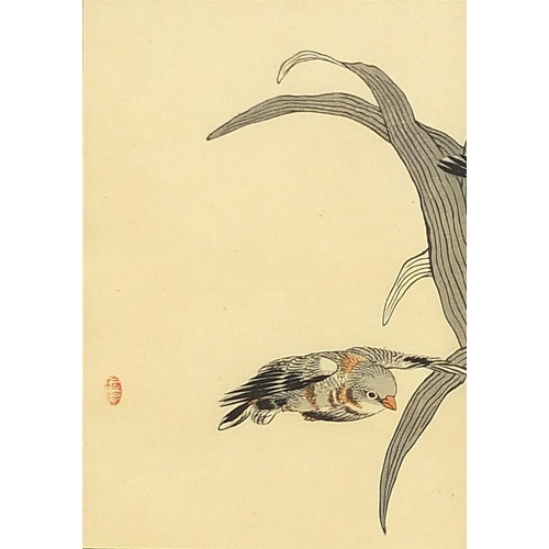 704A - Kono Bairei - Birds amongst flowers, pair of 19th century Japanese woodblock prints, details verso, ... 