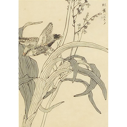 704A - Kono Bairei - Birds amongst flowers, pair of 19th century Japanese woodblock prints, details verso, ... 