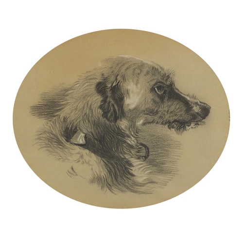 1013 - Dog's head, 19th century oval pencil sketch, mounted, framed and glazed, 29cm x 24cm excluding the m... 