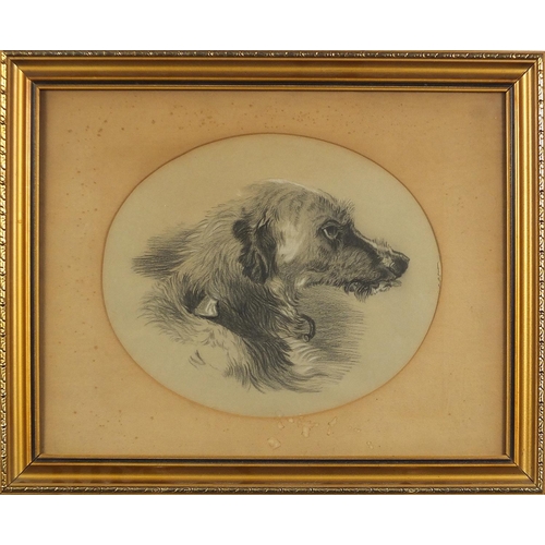 1013 - Dog's head, 19th century oval pencil sketch, mounted, framed and glazed, 29cm x 24cm excluding the m... 