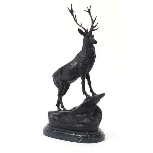 152 - Large patinated bronze stag raised on a shaped marble base, 74cm high