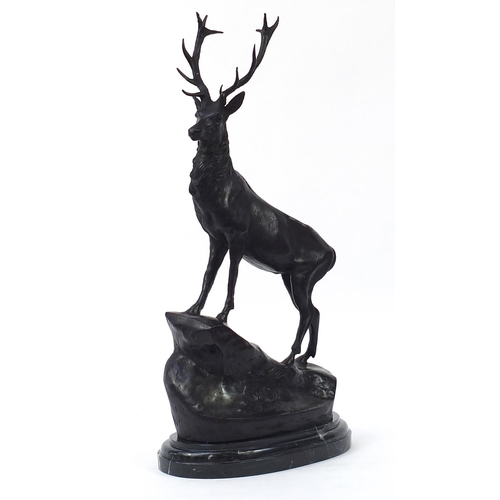 153 - Large patinated bronze stag raised on a shaped marble base, 74cm high